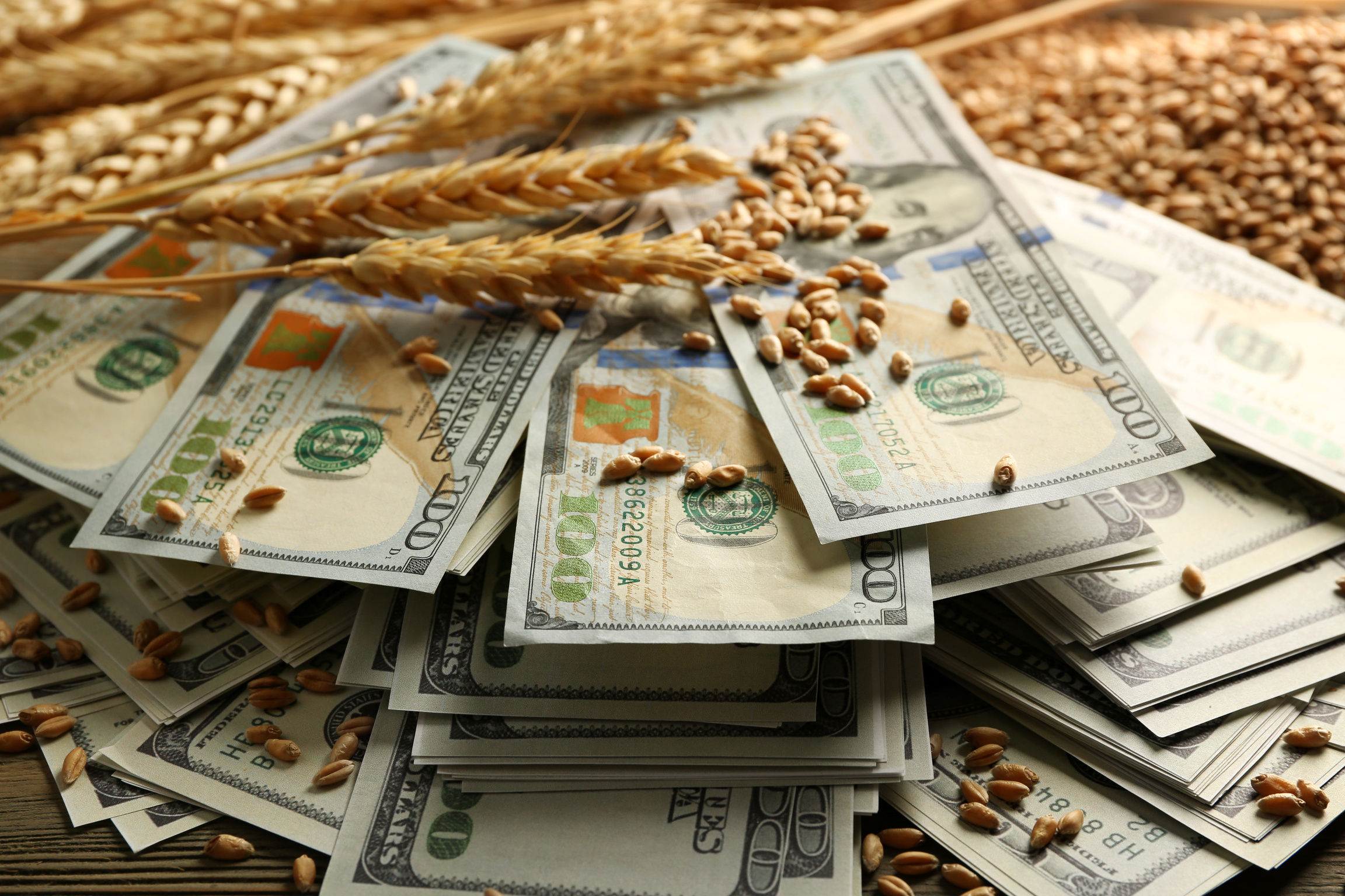 Dollar Bills and Wheat Grains 